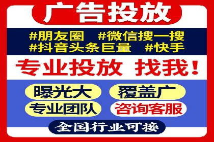 专业SEM运营托管服务案例分析